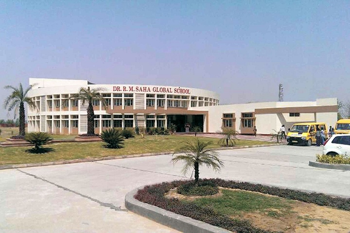 Dr RM Saha Global School-Campus View