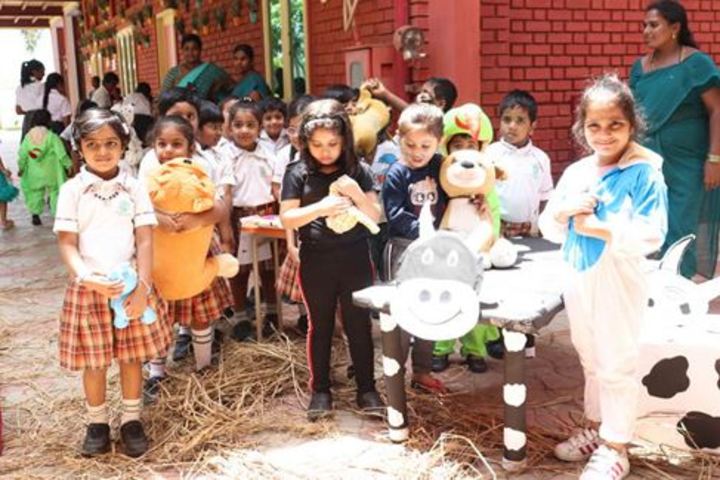 Delhi Public School-Kids Play Zone