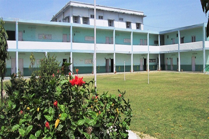 Fertilizer Public School-Campus View