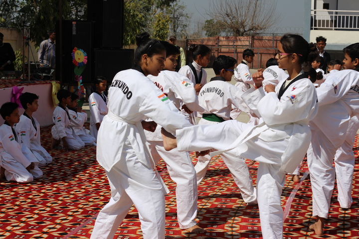 G S S Public School-Karate