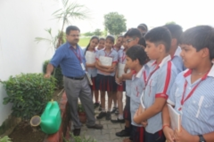 G D Goenka Public School-Interaction with nature