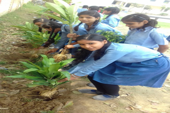 Genius Public School-Tree Pantation