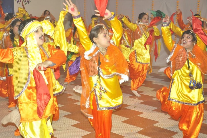 Grain Chamber Public School-Cultural Festival