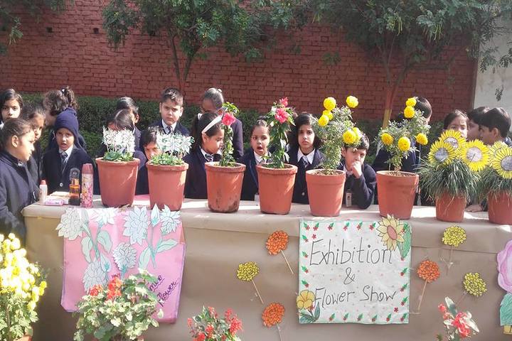 Grain Chamber Public School-Flowers Exhibition