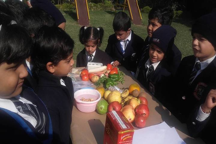 Grain Chamber Public School-Fruits
