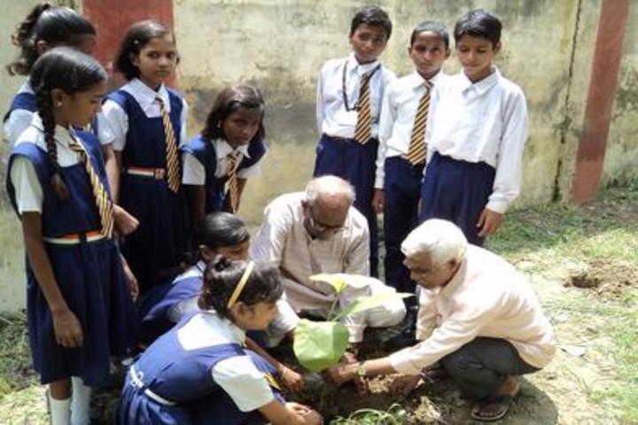 Gramya Bharati Purv Madhyamik Shikshalaya-Tree Plantation