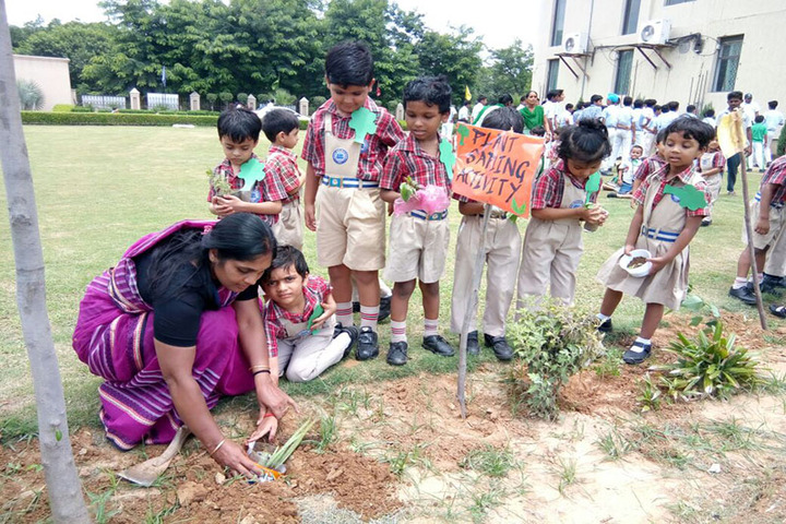 Greater Noida World School-Activity