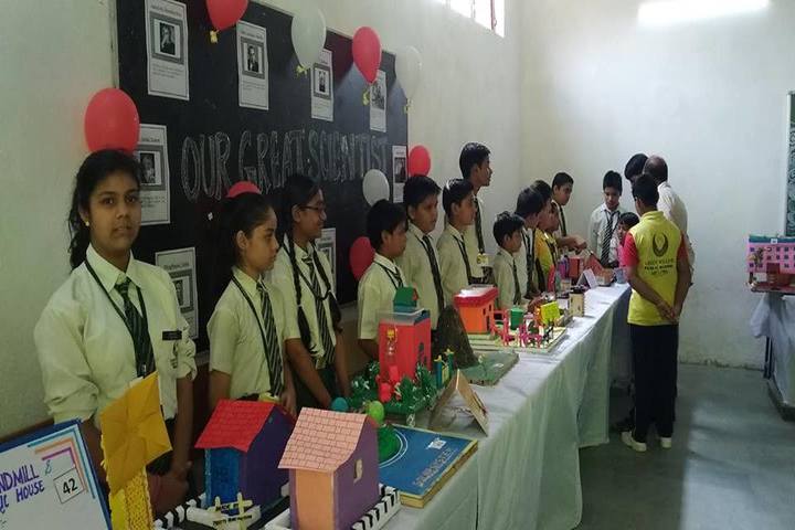 Green Willow Public School-Ehibition