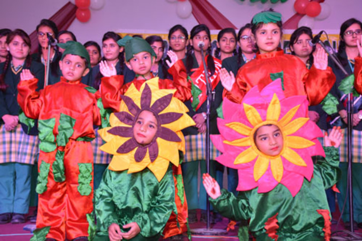 Greenwood Senior Secondary School-Activity