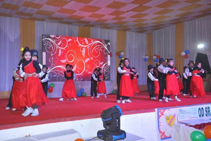 Greenwood Senior Secondary School-Anual day