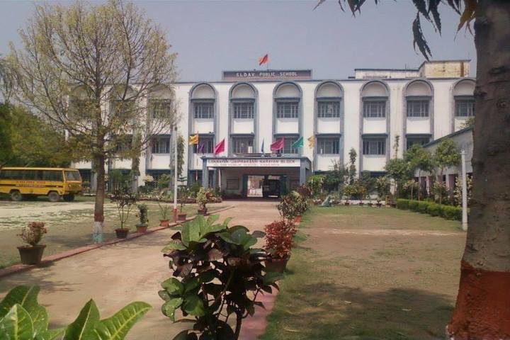 S L D A V Public School-Campus View