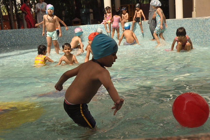 Gurukul The School-Swimming Pool