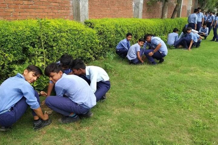 Gurukul Vidyapeeth-Tree Plantation