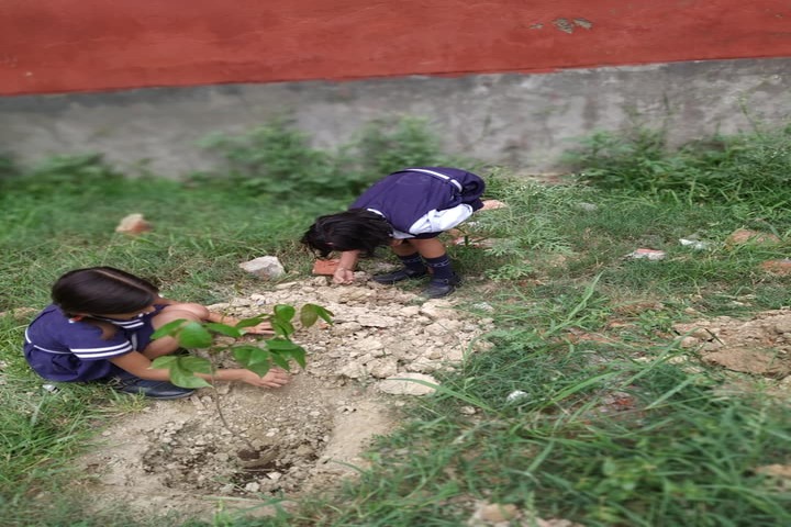 Gyan Peethika-Tree Plantation