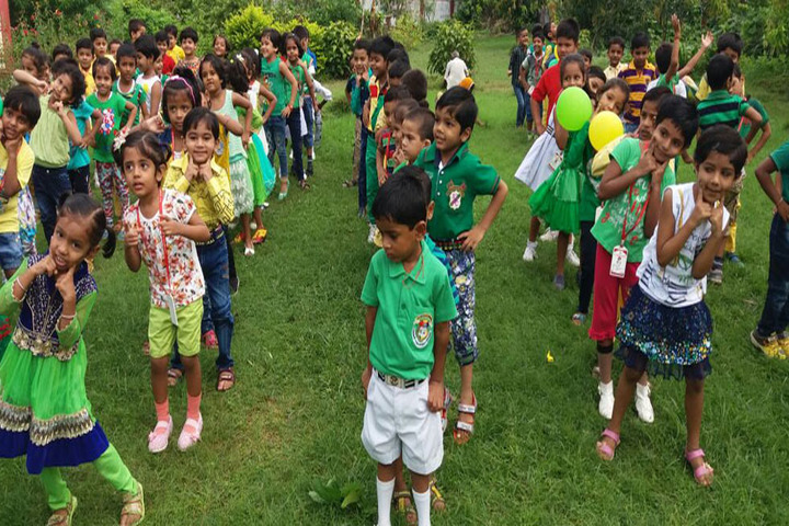 H P Defence Academy-Activity
