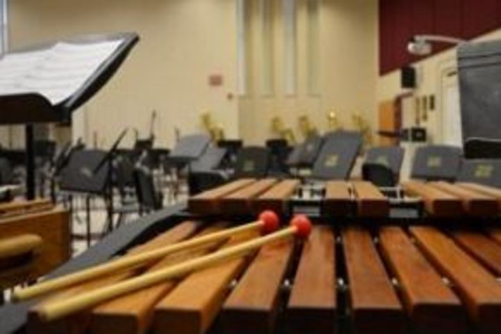 Sky Vision Public School-Music Rooms