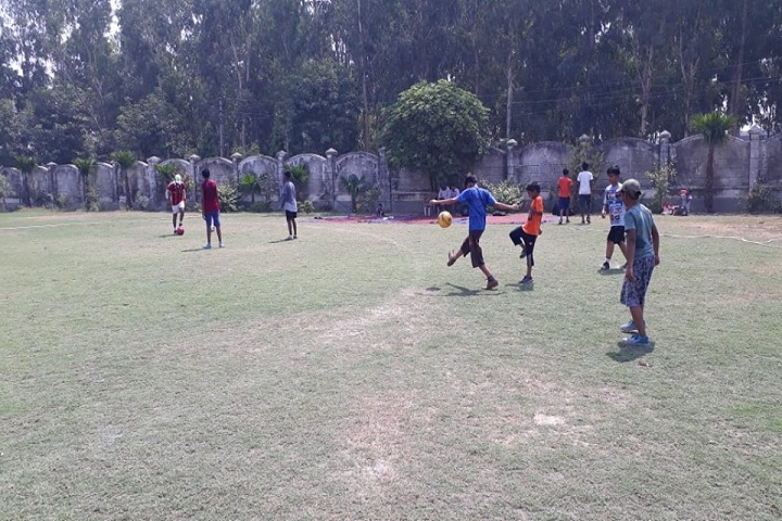 Hallmark World School-Sports