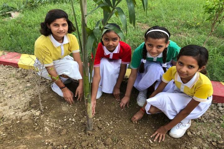 Harihar Singh Public School-Tree Plantation