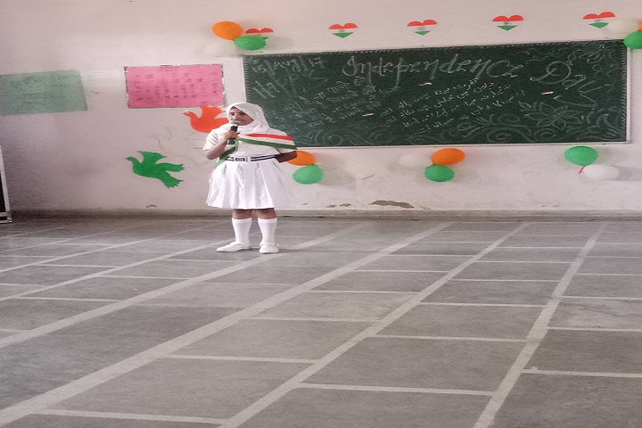 Hi Ness Public School-Events republic day