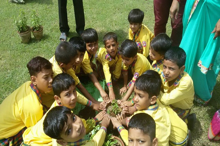 Hi Ness Public School-Others plantation