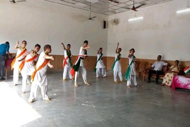 Hillman Public School-Events independance day programme