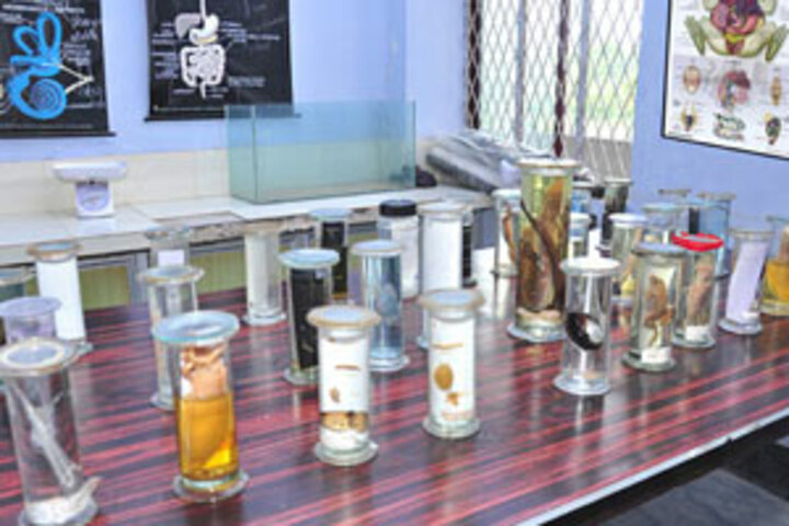 Holy Light Public School-Biology-Lab