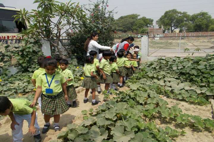 Hope Town International School-Tree-Plantation