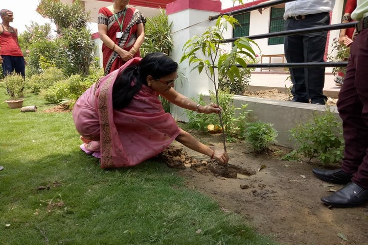 J P Public Academy-Plantation