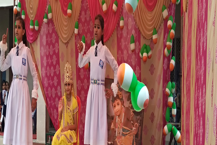 J S M Educational Academy-Republic Day