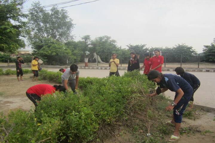 Jawahar Navodaya Vidyalaya-Plantation