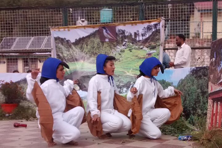 Jawahar Navodaya Vidyalaya-Activity-1