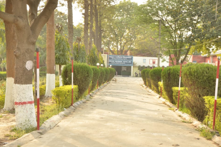 Jawahar Navodaya Vidyalaya-School greenary maintenance