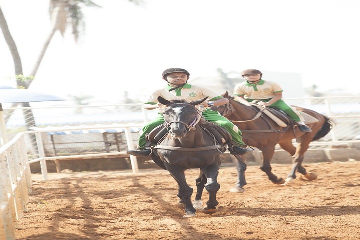 0Delhi public School - Horse Riding