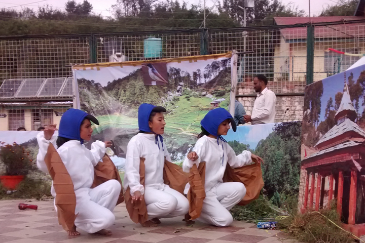 Jawahar Navodaya Vidyalaya-Events-3