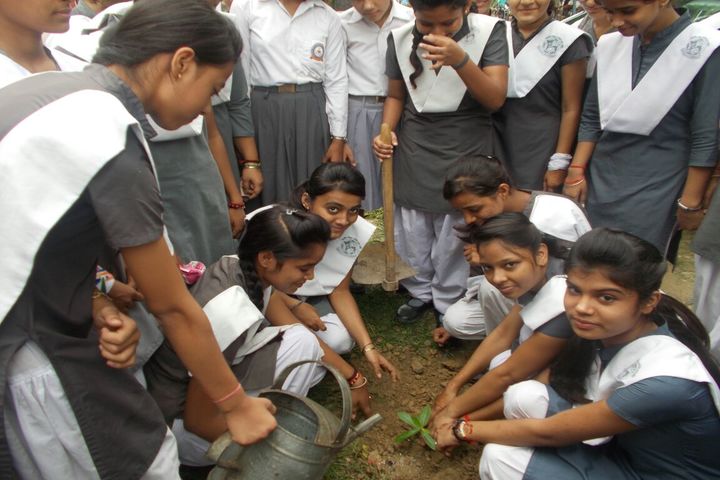 Jugal Devi Saraswati Vidya Mandir-Tree Plantation