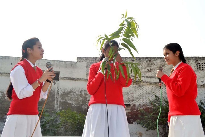 K P Public School-Skit View
