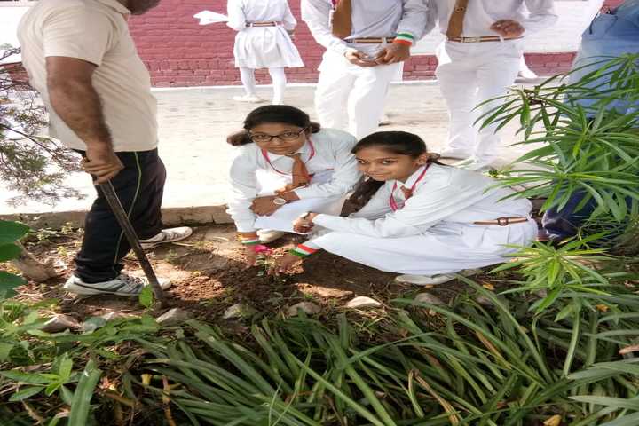 K P Public School-Tree Plantation