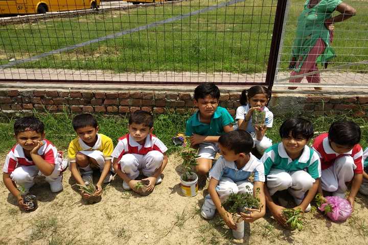 Kalka Public School-Tree Plantation Activity