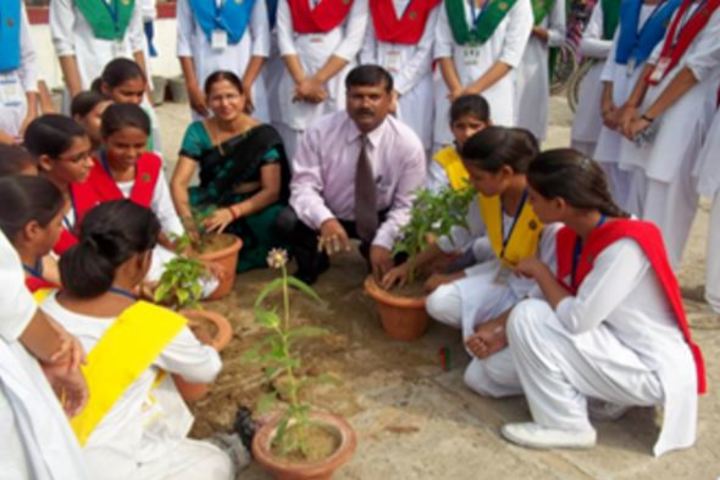 Kamla Nehru Bal Shiksha Sansthan-Plantation