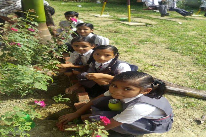 Krishna Academy-Plantation