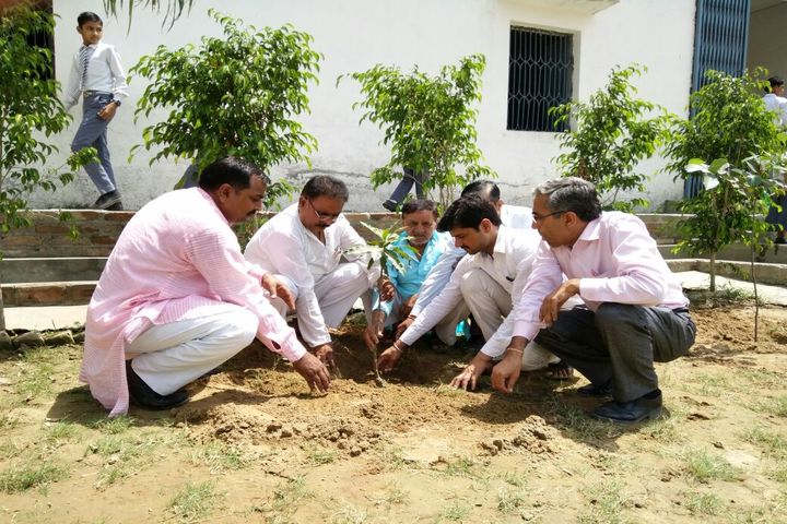 Krishna Public School-Plantation