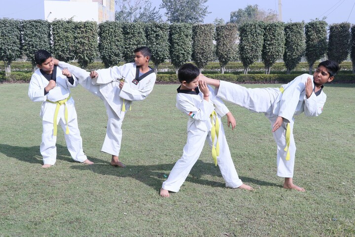 L N Public School-Karate