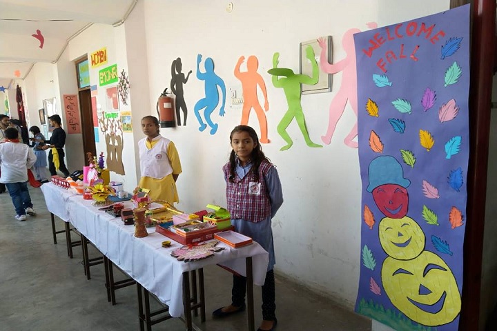 L K International School-Science Exhibition