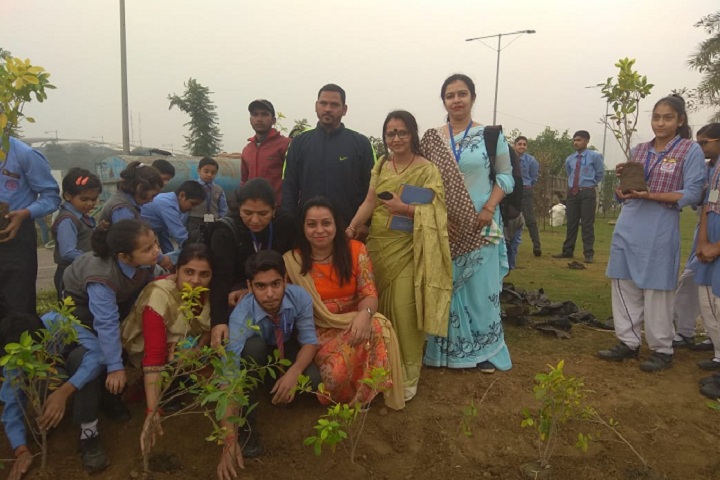 L K International School-Tree Plantation