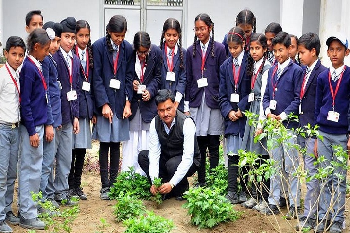L S P Public School-Tree Plantation