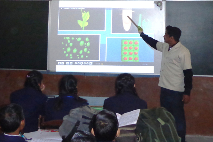 Lala Radhey Shyam Academy-Class