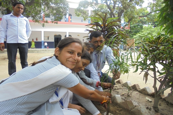 Little Flower Convent School-Tree-Plantation