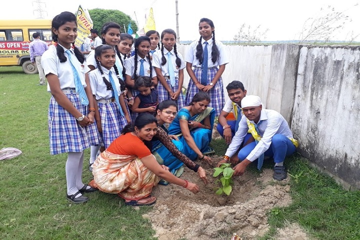 Little Scholar Academy-Plantation