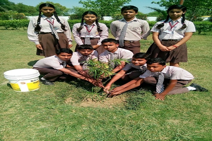 Lohia Academy International School-Tree Plantation