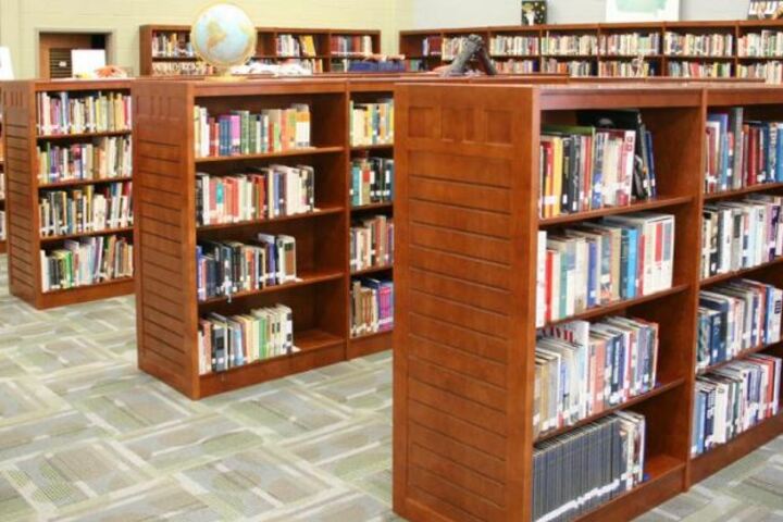 Loyal Public School - Library